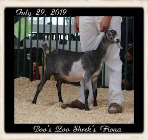 Boo's Zoo Shrek's Fiona