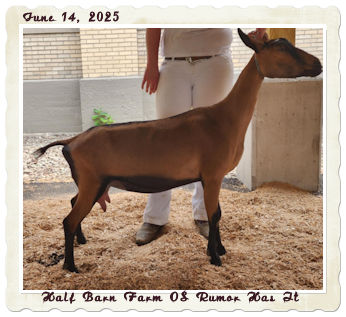 Half Barn Farm OS Rumor Has It